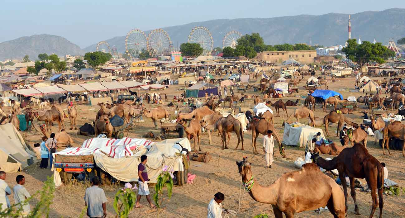 Pushkar fair