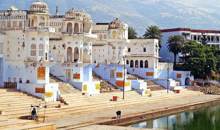 Jaipur Pushkar Fair Tour