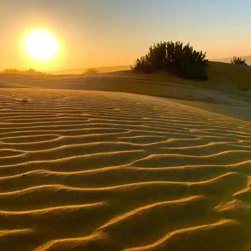 Rajasthan Desert 06 Days Tour package