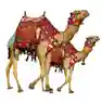 Rajasthan Tours By Duration