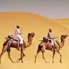Desert and Camel Safari Rajasthan
